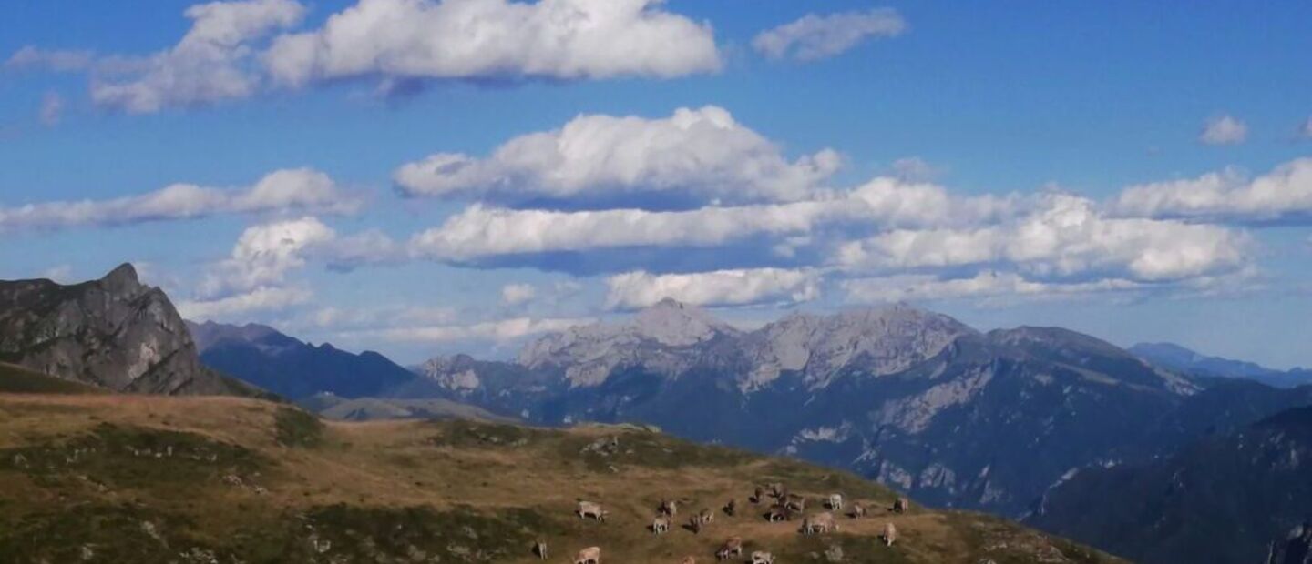 Alpe Camisolo