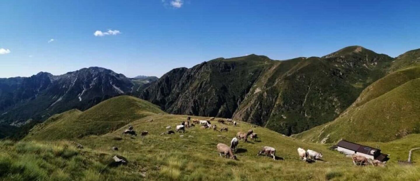 Camisolo Valtorta (BG)